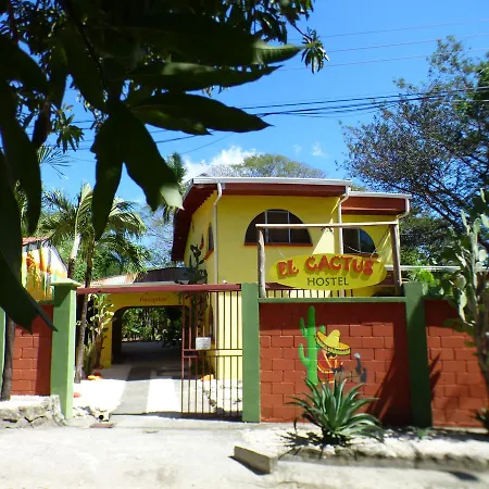 Hostel El Cactus