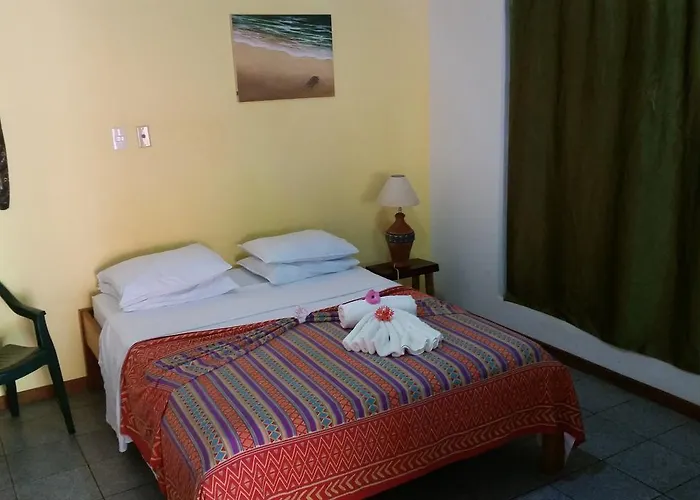 Hostel El Cactus Sámara