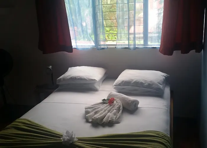 El Cactus * Sámara