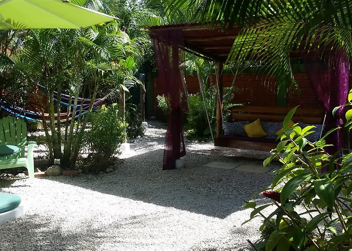 El Cactus Hostel Sámara