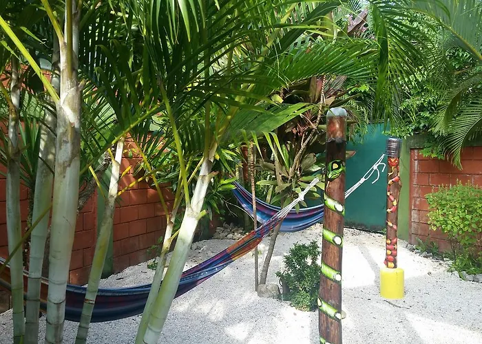 El Cactus Hostel *