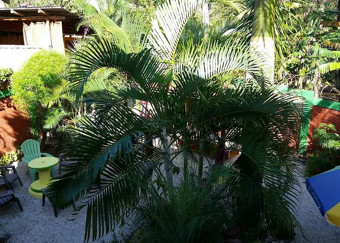 Hostel El Cactus