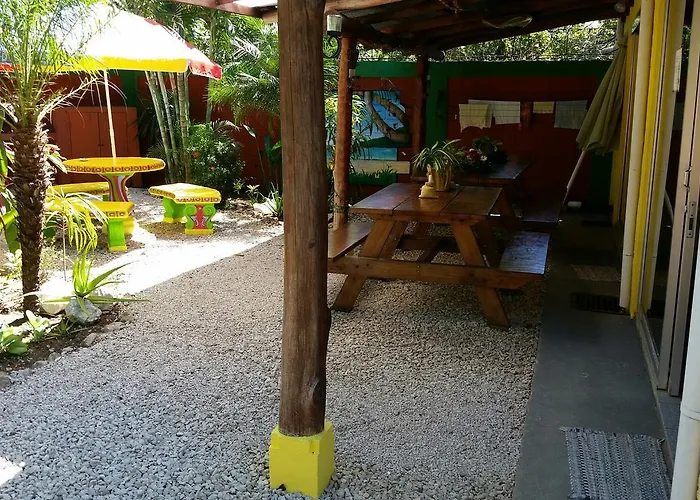 El Cactus Hostel *