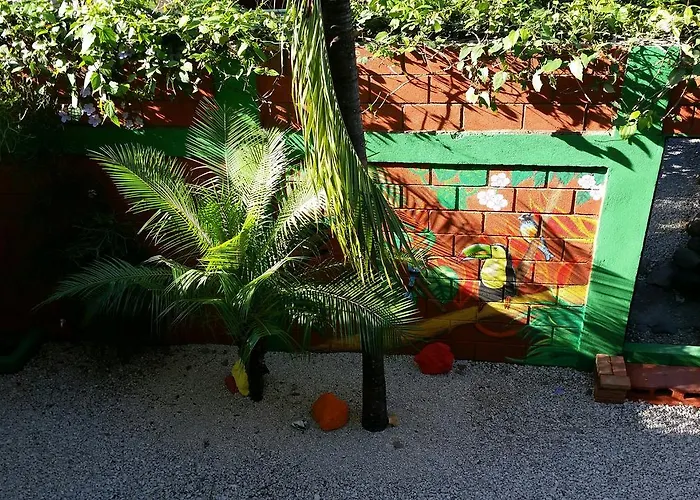 El Cactus Hostel Sámara