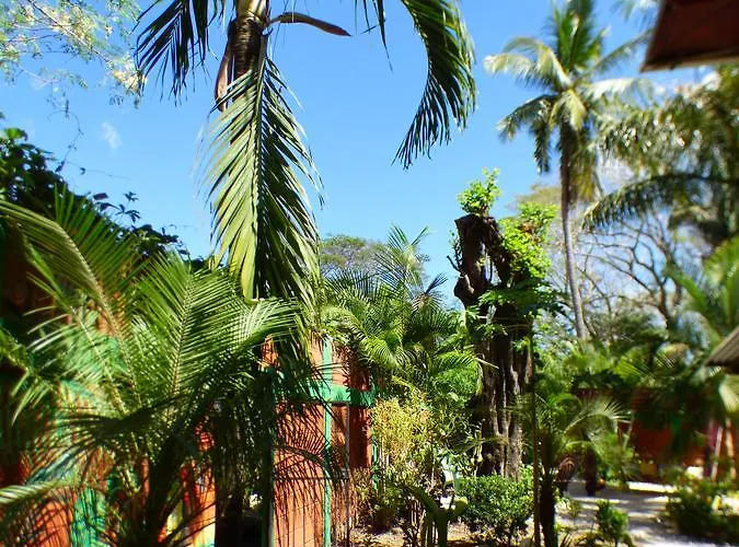 Hostel El Cactus Sámara